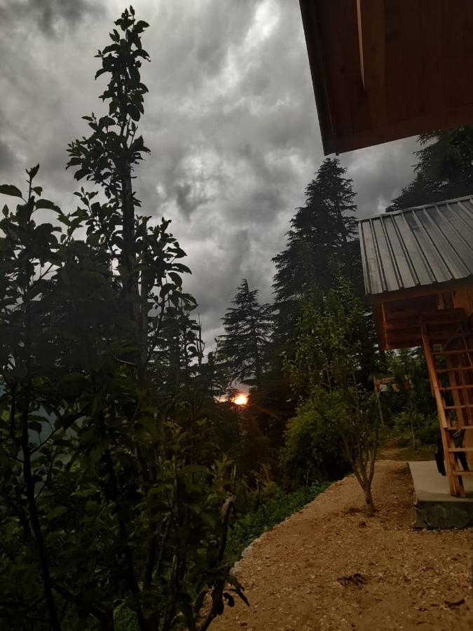 הוילה Jibhi Deep In Woods מראה חיצוני תמונה