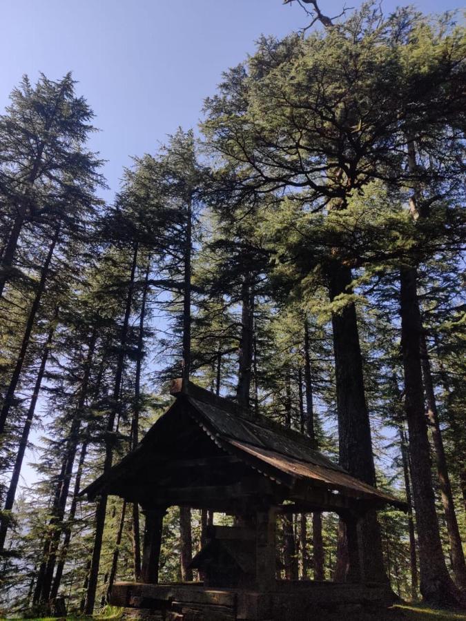 הוילה Jibhi Deep In Woods מראה חיצוני תמונה